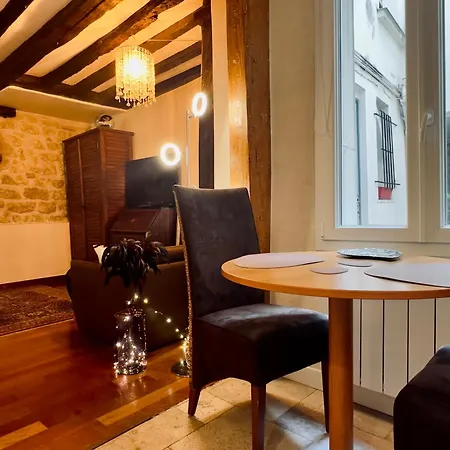 Charming studio Kenzo Marais Lejlighed