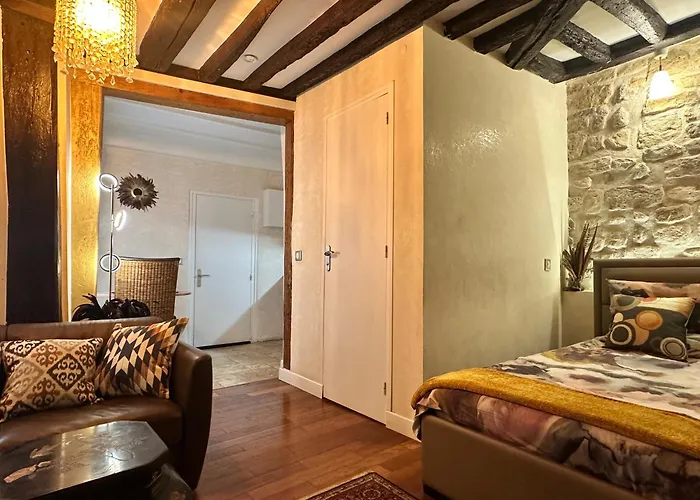 Apartament Pokój studio (22 m²) w obiekcie Apartament z liczbą prywatnych łazienek 1 w okolicy Le Marais 4. dz *